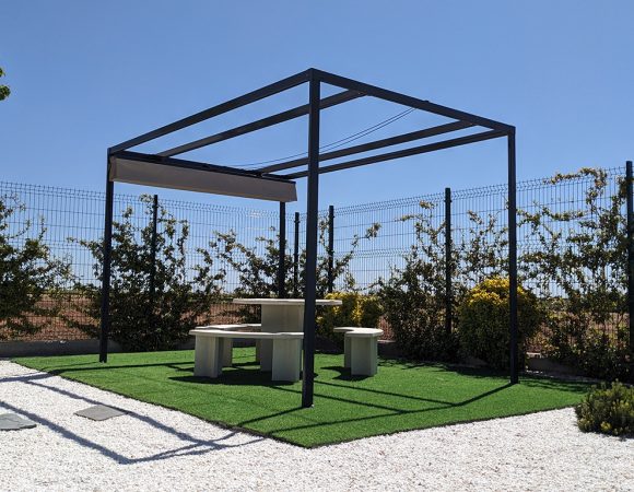 PXL_20240417_104537675